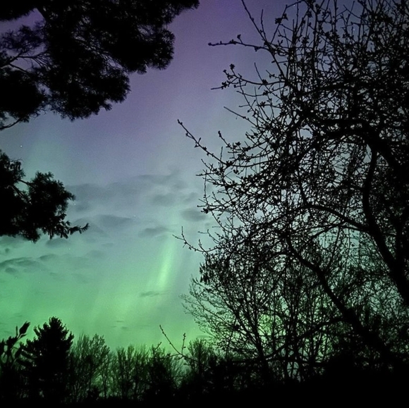 Once in a lifetime Northern lights in Nor Cal. 5/2024 - Picture 4 of 5